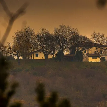 Della Fortuna Faenza