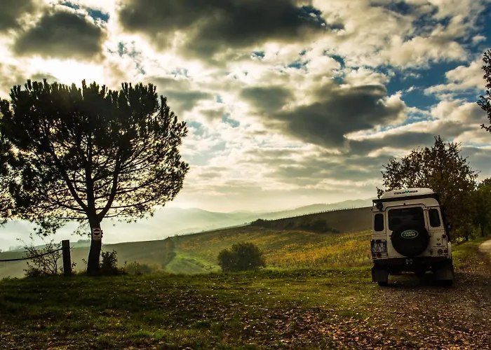 Della Fortuna Faenza