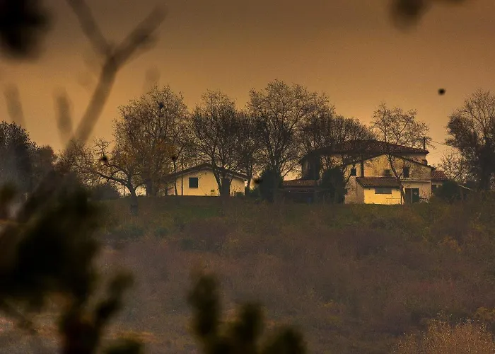 Della Fortuna Faenza